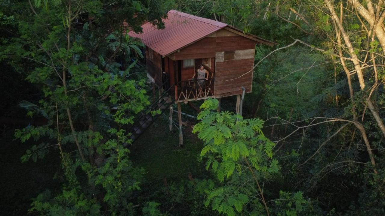 Tree House Hostel Sigiriya Eksteriør bilde
